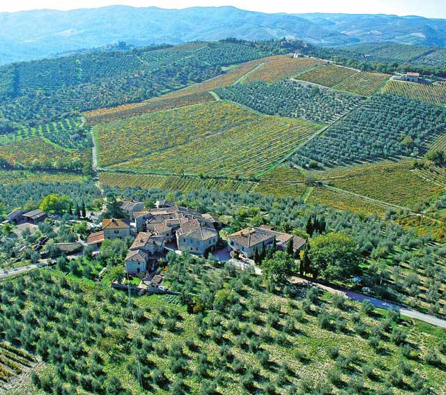 Il Vino è uno dei maggiori segni di civiltà. (Ernest Hemingway)