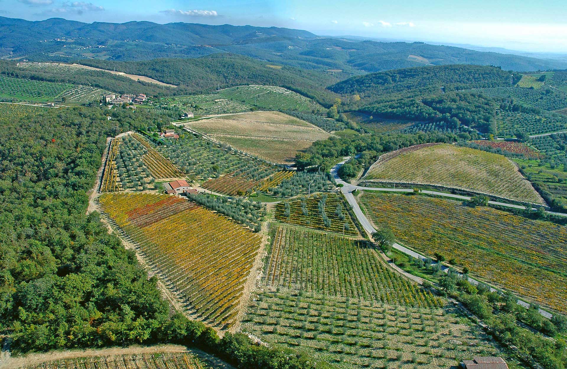 I veri intenditori non bevono vino: Degustano Segreti. (Salvador Dalì)